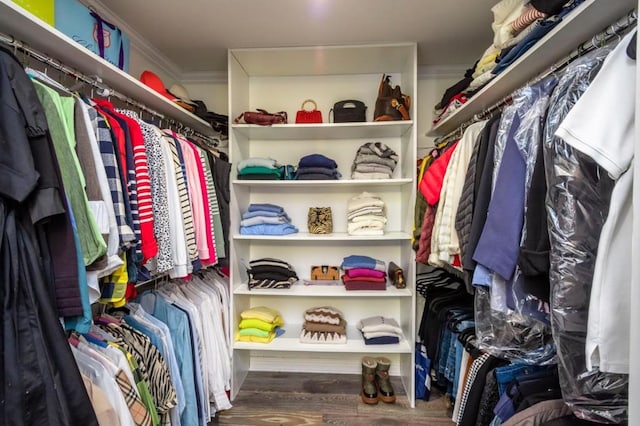 spacious closet with wood-type flooring