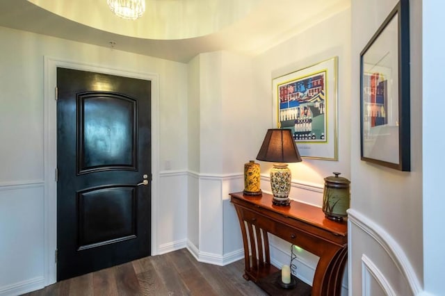 foyer entrance with dark wood-type flooring