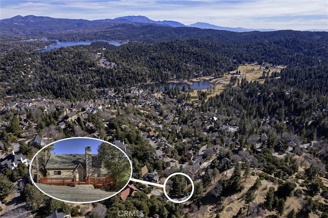 birds eye view of property featuring a water and mountain view