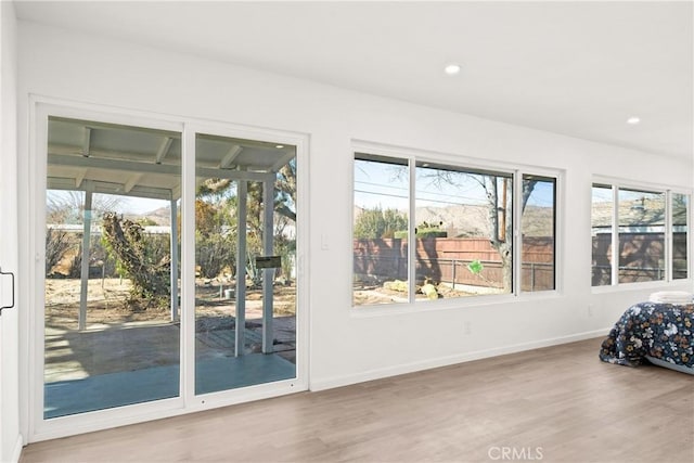 unfurnished bedroom featuring multiple windows, access to exterior, and wood-type flooring