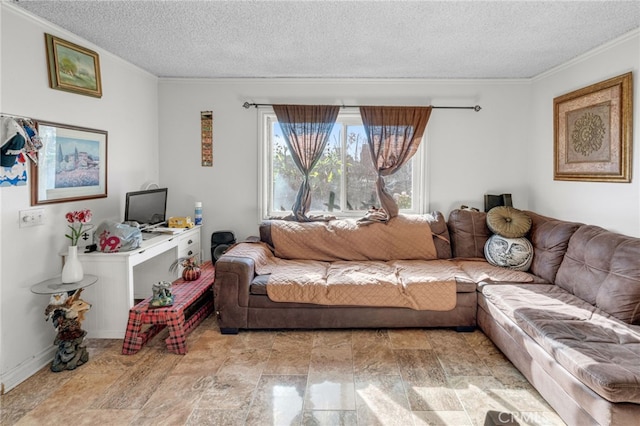 living room featuring ornamental molding and a textured ceiling