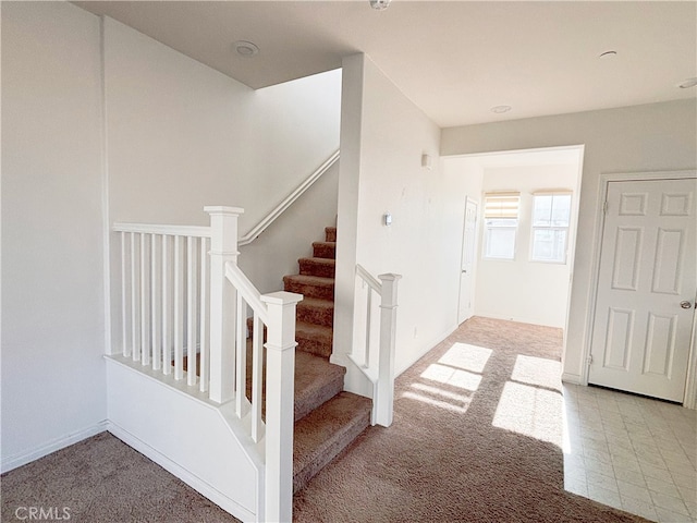 staircase featuring carpet