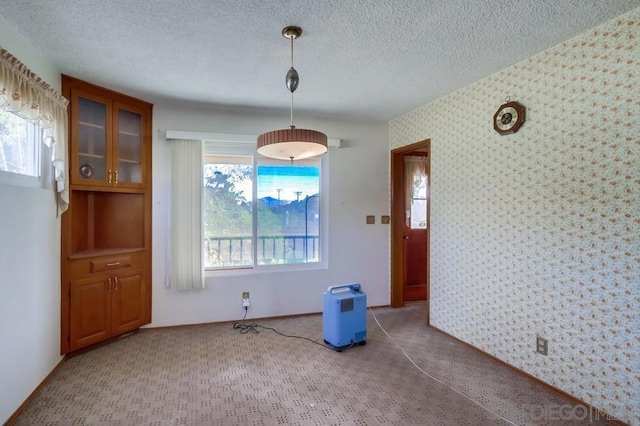 unfurnished dining area featuring carpet and a textured ceiling