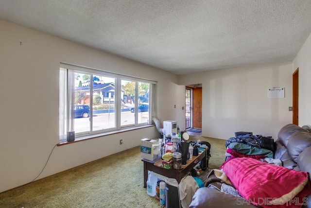 carpeted living room with a textured ceiling