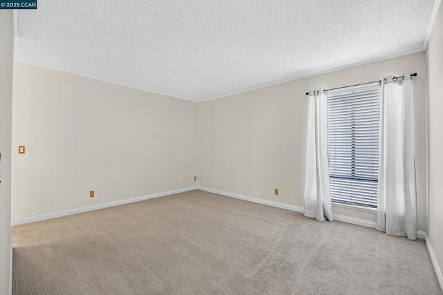 unfurnished room featuring a textured ceiling, light carpet, and a wealth of natural light