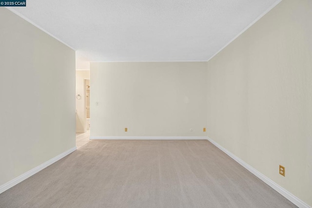 unfurnished room featuring light carpet