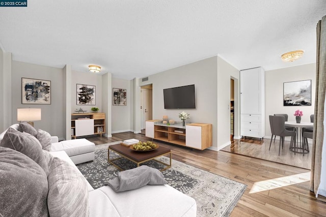 living room with hardwood / wood-style floors