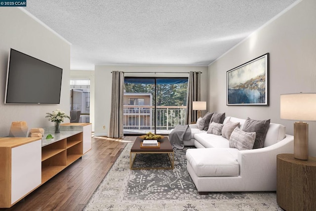 living room with hardwood / wood-style floors and a textured ceiling