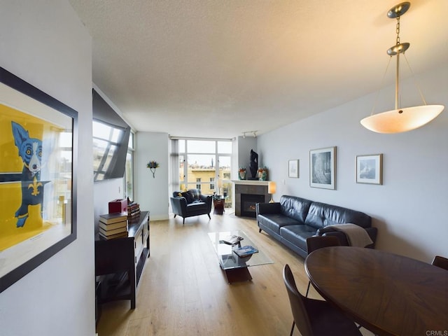 living room with light hardwood / wood-style floors and rail lighting