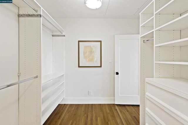 walk in closet with wood-type flooring