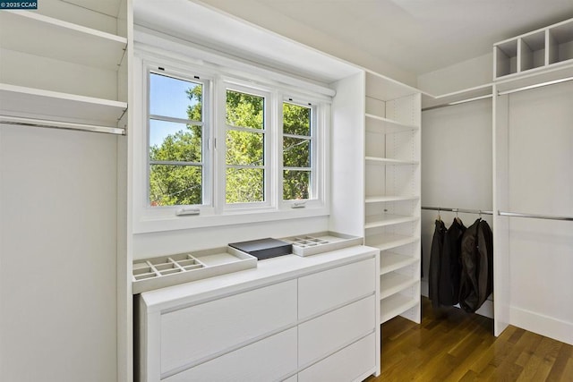 spacious closet featuring dark hardwood / wood-style flooring