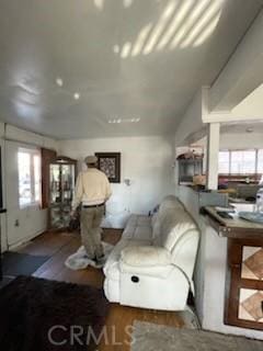 living room featuring plenty of natural light and dark hardwood / wood-style flooring