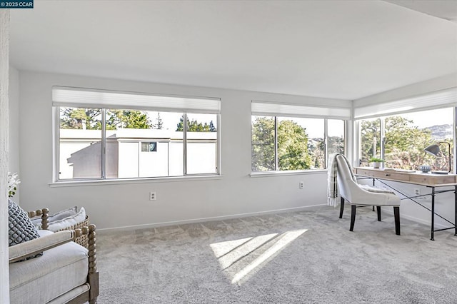 interior space featuring light carpet and a wealth of natural light