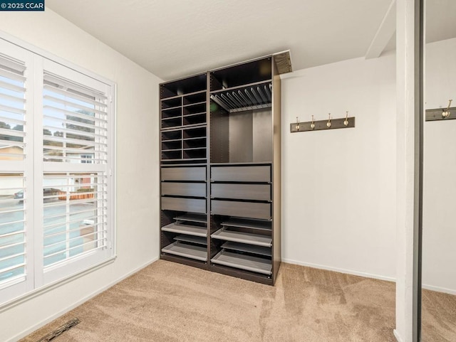 spacious closet with light colored carpet