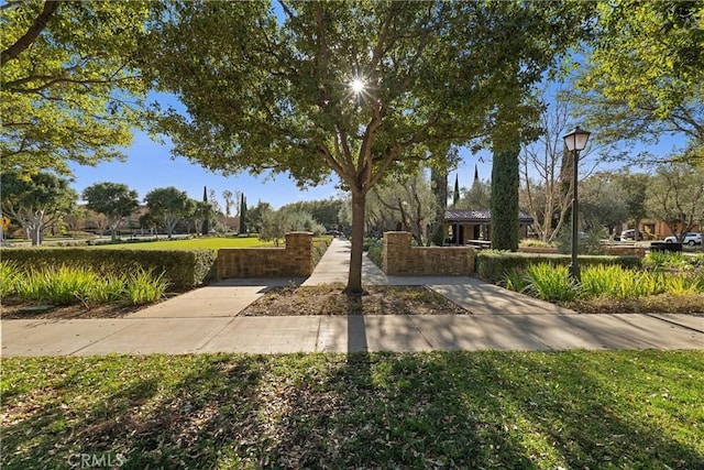 37 Triple Leaf, Irvine, CA 92620 - view of property's community