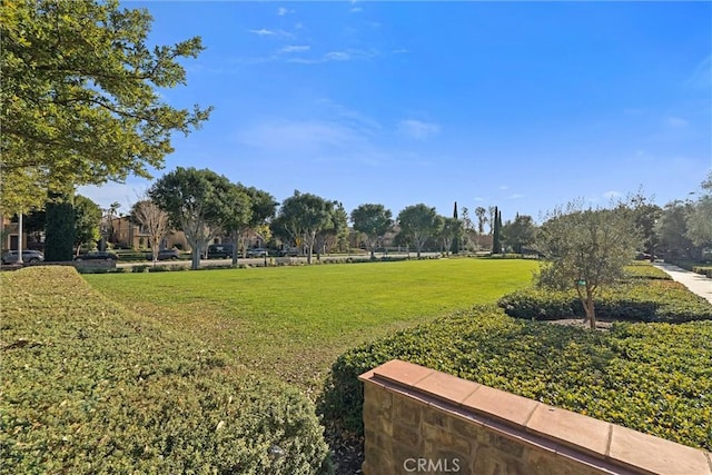 37 Triple Leaf, Irvine, CA 92620 - view of green lawn