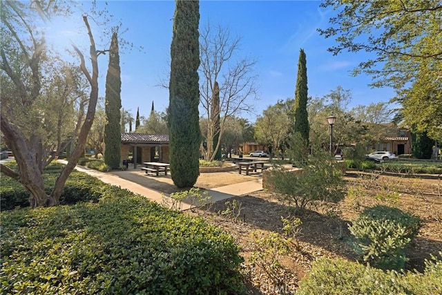 37 Triple Leaf, Irvine, CA 92620 - view of yard