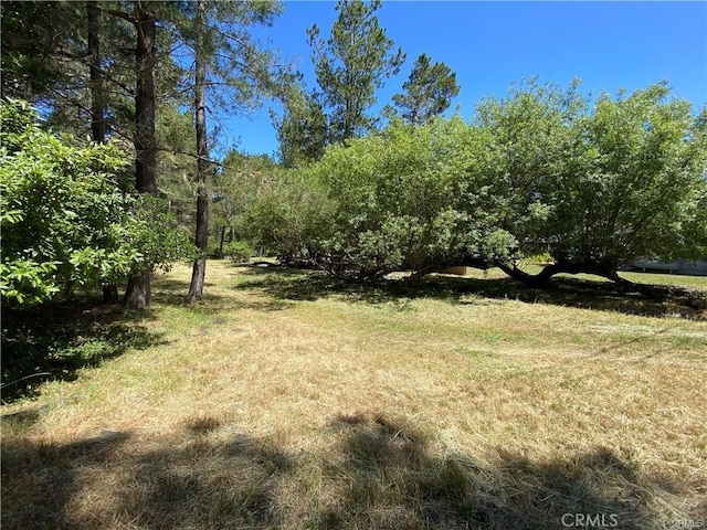 Listing photo 2 for 1275 Warren Rd, Cambria CA 93428