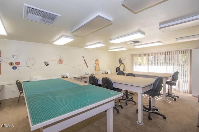 playroom with light colored carpet