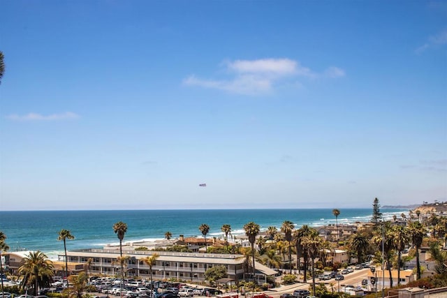 property view of water featuring a beach view