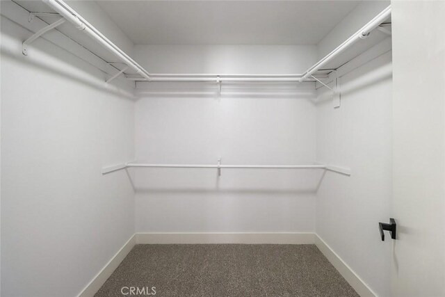 20591 Celtic St, Chatsworth, CA 91311 - walk in closet with carpet floors