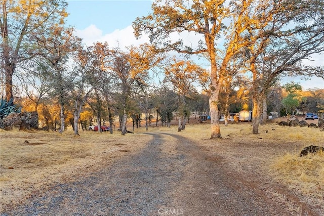 view of street