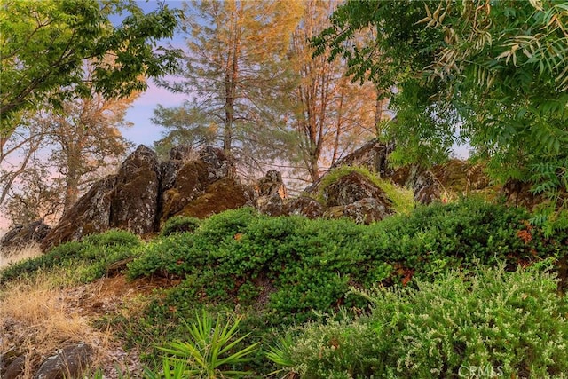 view of nature at dusk