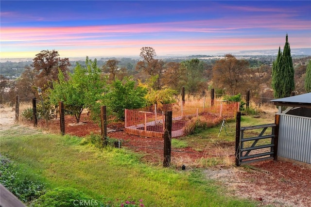 view of yard at dusk