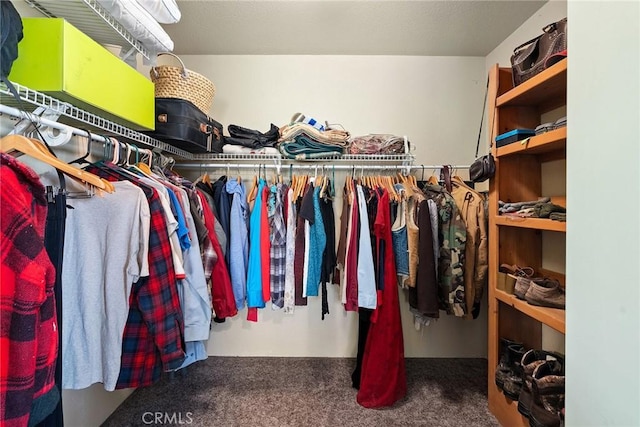 spacious closet with carpet floors