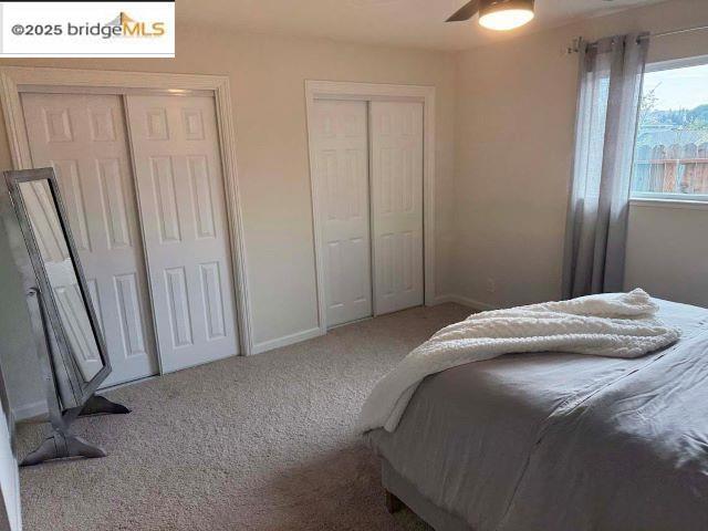 carpeted bedroom with ceiling fan and multiple closets