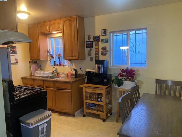 kitchen with gas stove and sink