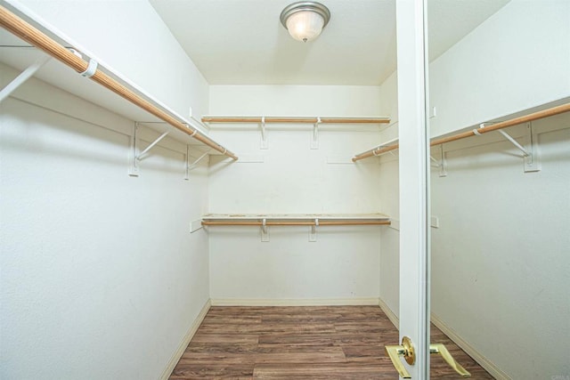 walk in closet with wood finished floors