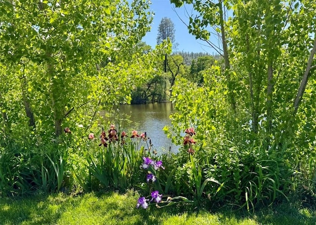 view of water feature