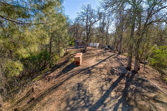 exterior space featuring a wooded view and dirt driveway