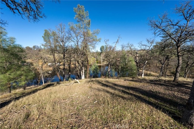15796 Joseph Trl, Lower Lake, CA 95457 - view of yard