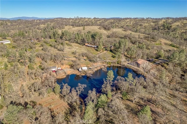 bird's eye view with a view of trees and a water view