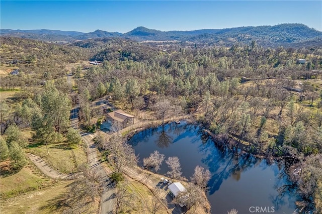 aerial view featuring a water and mountain view and a view of trees