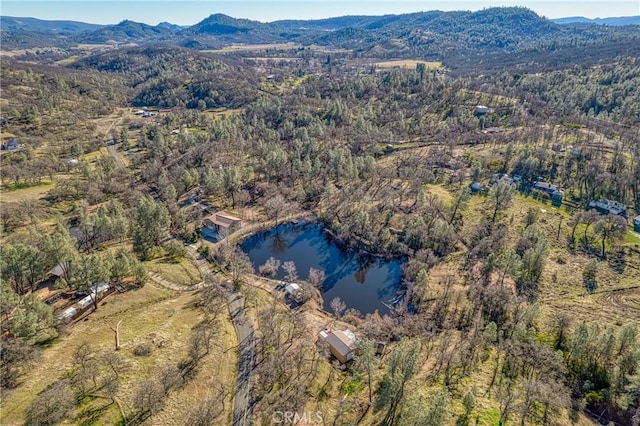 birds eye view of property featuring a water and mountain view