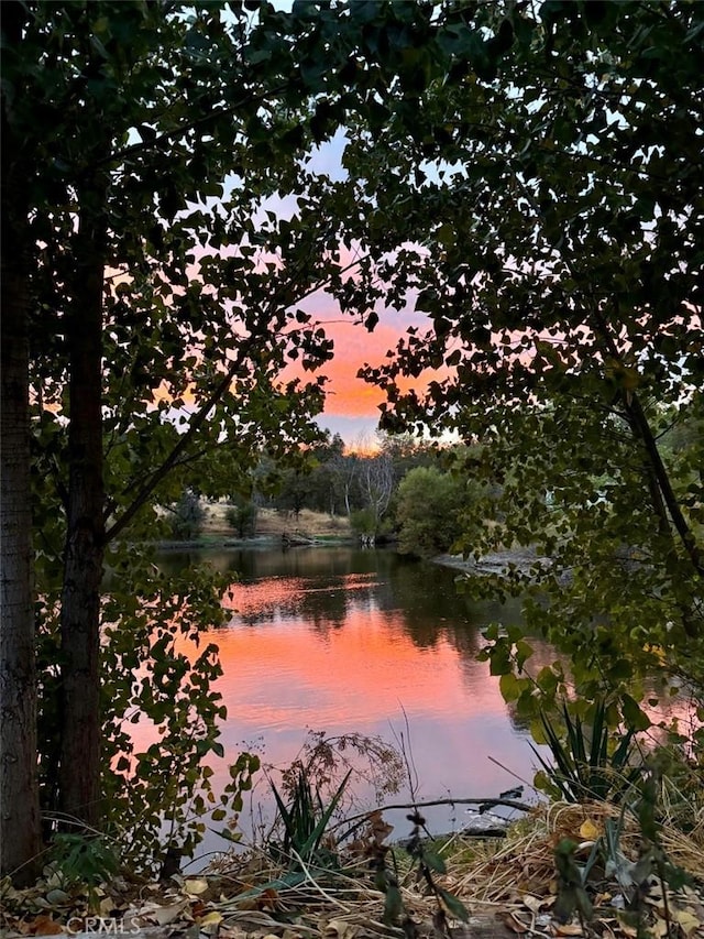 15796 Joseph Trl, Lower Lake, CA 95457 - water view