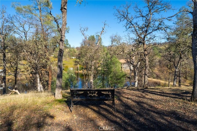 view of yard featuring a water view