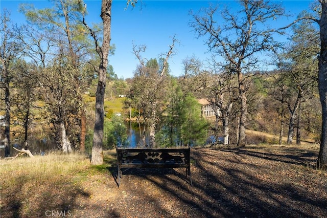 15796 Joseph Trl, Lower Lake, CA 95457 - photo 48