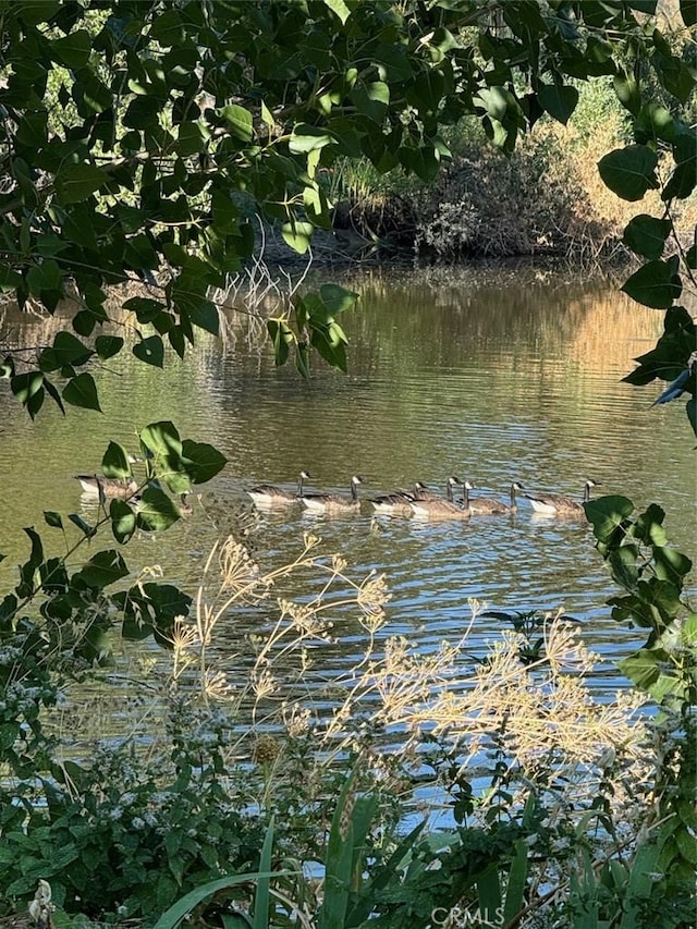 view of water feature