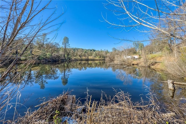 15796 Joseph Trl, Lower Lake, CA 95457 - water view