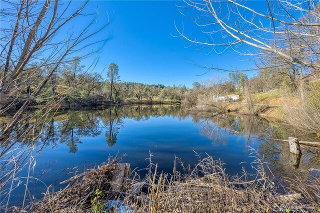 15796 Joseph Trl, Lower Lake, CA 95457 - photo 54