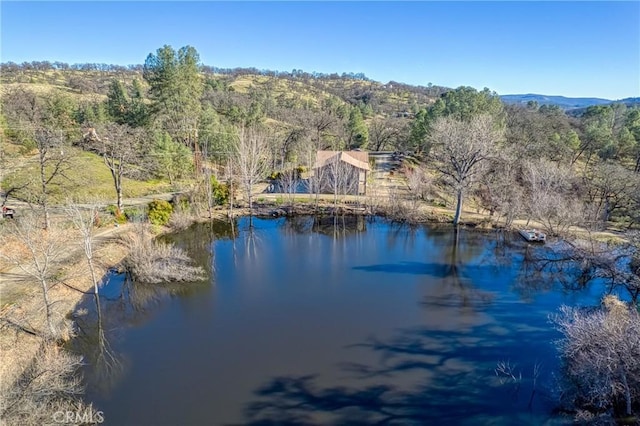 water view with a mountain view