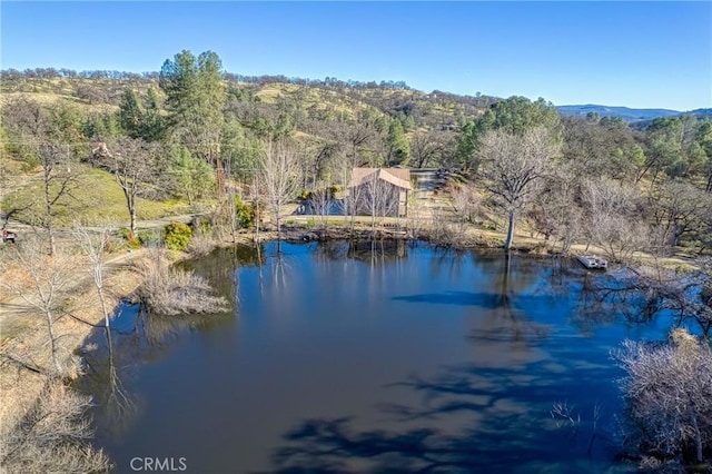 15796 Joseph Trl, Lower Lake, CA 95457 - water view featuring a heavily wooded area