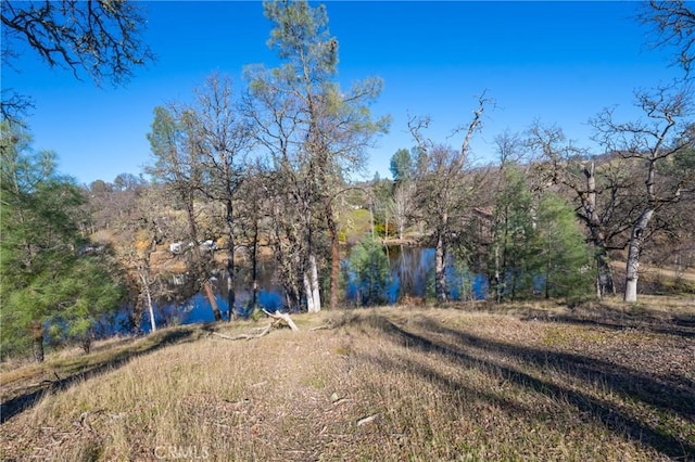 15796 Joseph Trl, Lower Lake, CA 95457 - view of yard with a water view and a forest view