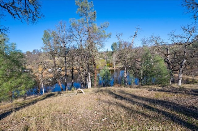 15796 Joseph Trl, Lower Lake, CA 95457 - photo 66