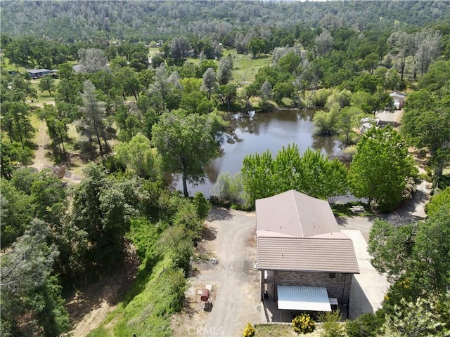 birds eye view of property with a forest view and a water view