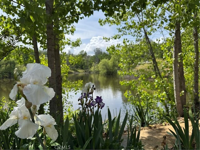 water view